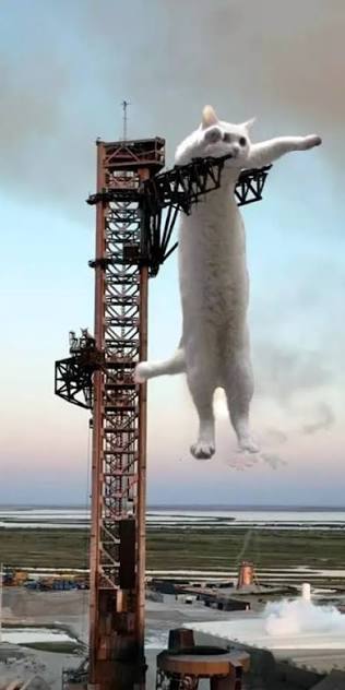 A very long white cat hanging from the arms of a rocket launch tower