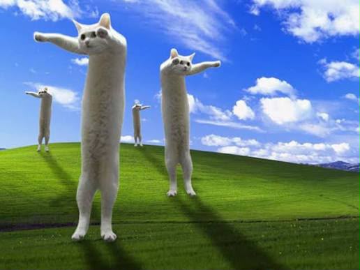 Several stretched white cats standing on a green hill under a blue sky